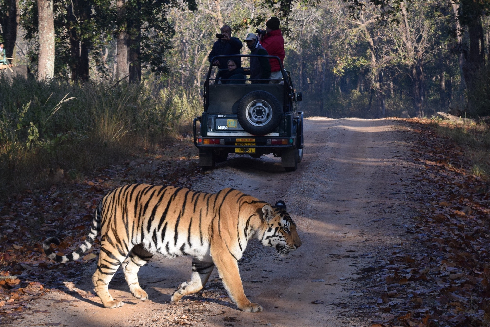 Golden Triangle Tour with Ranthambhore