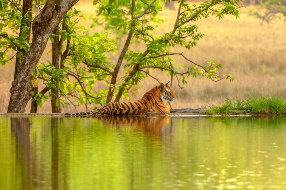 Golden Triangle Tour with Ranthambore (Tigers and Taj Mahal Sunrise)